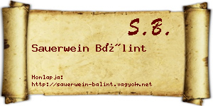 Sauerwein Bálint névjegykártya