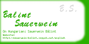 balint sauerwein business card